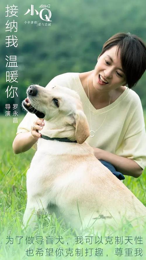 河南淮滨高中毕业证高清图
